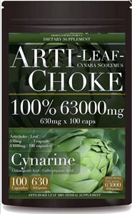 АРТИШОК ДЛЯ ЖЕЛЧНОГО И ПЕЧЕНИ 12041