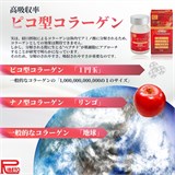 Ribeto Pico Collagen Premium ПИКО-КОЛЛАГЕН ПРЕМИУМ 11700