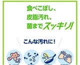 Средство для идеальной уборки устраняет бактерии,запахи и грязь  Dining Table Quickle Spray, 300ml 11819