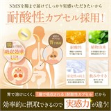 Высококонцентрированный, высокоочищенный NMN  50 000 мг в кислотоустойчивых капсулах от Shin Nippon Health. 11884